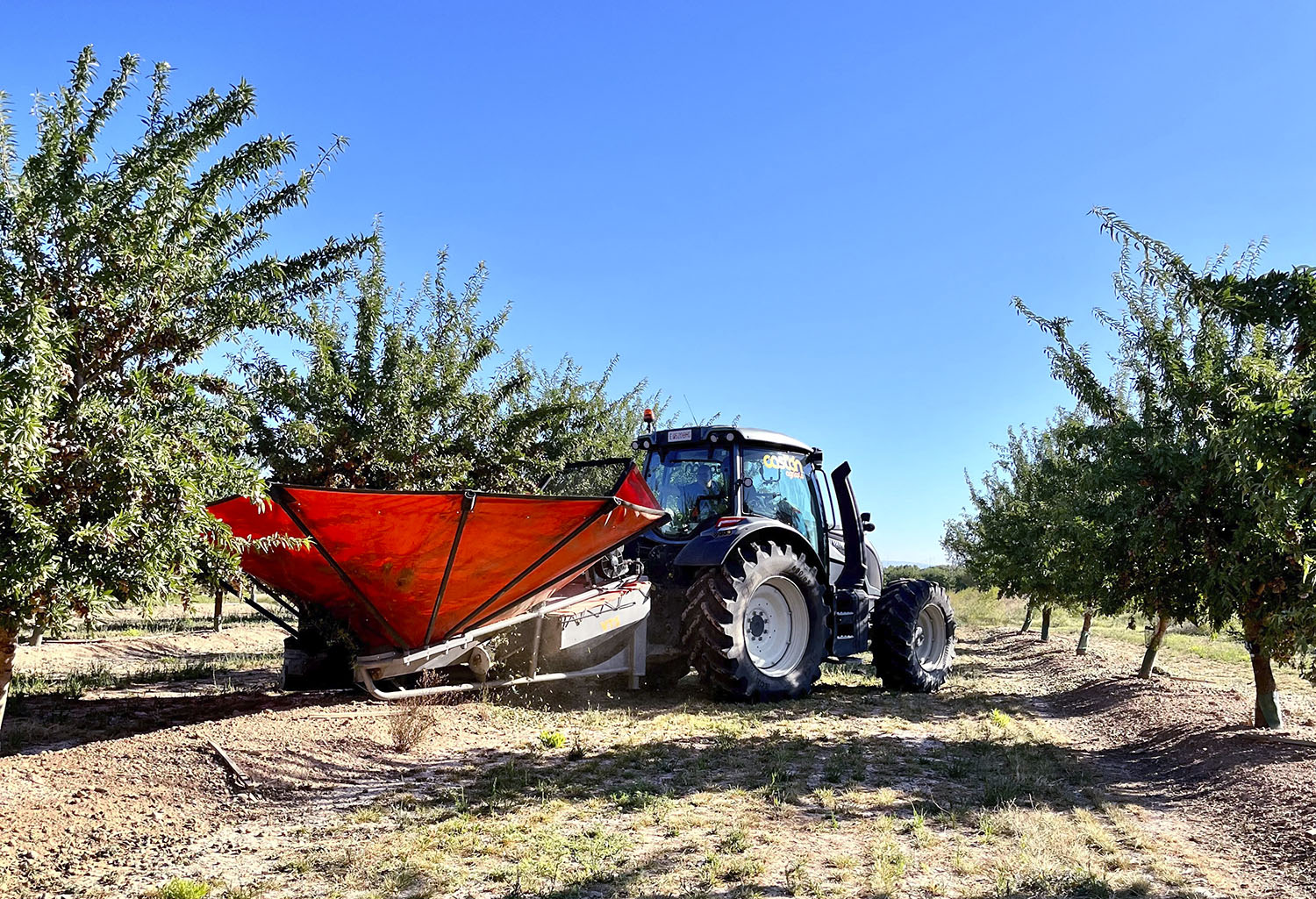 De Valtra N155 met TwinTrac terugrijinrichting bediende een parapluoogstmachine voor amandelen.